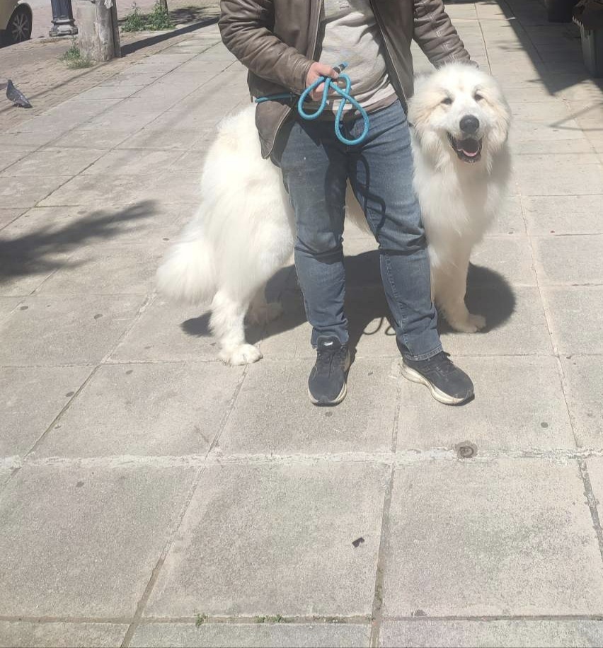 Athos