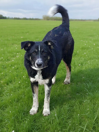 ΤΖΈΣΙΚΑ,7 ΜΗΝΩΝ